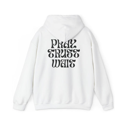 Unisex "PRAY TRUST WAIT" Hoodie