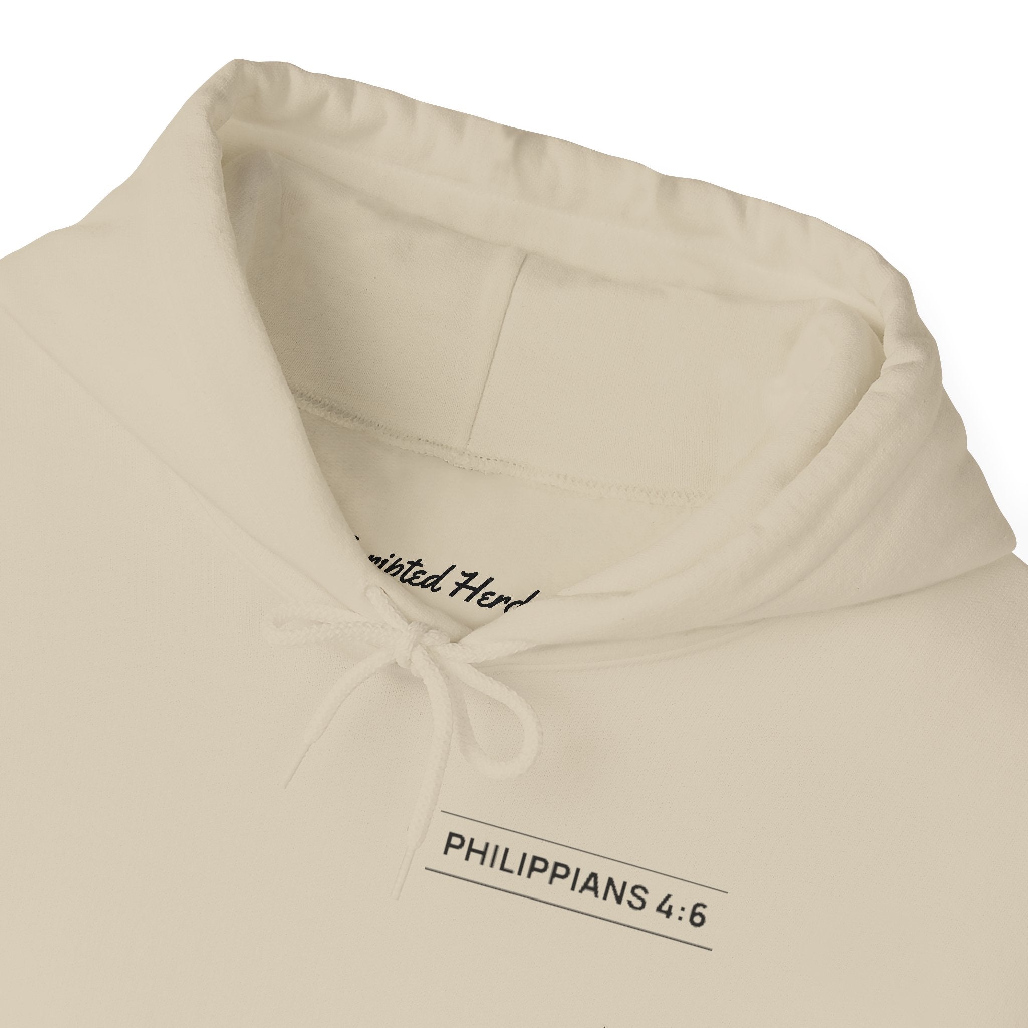 Ask me to Pray for You Unisex Hoodie