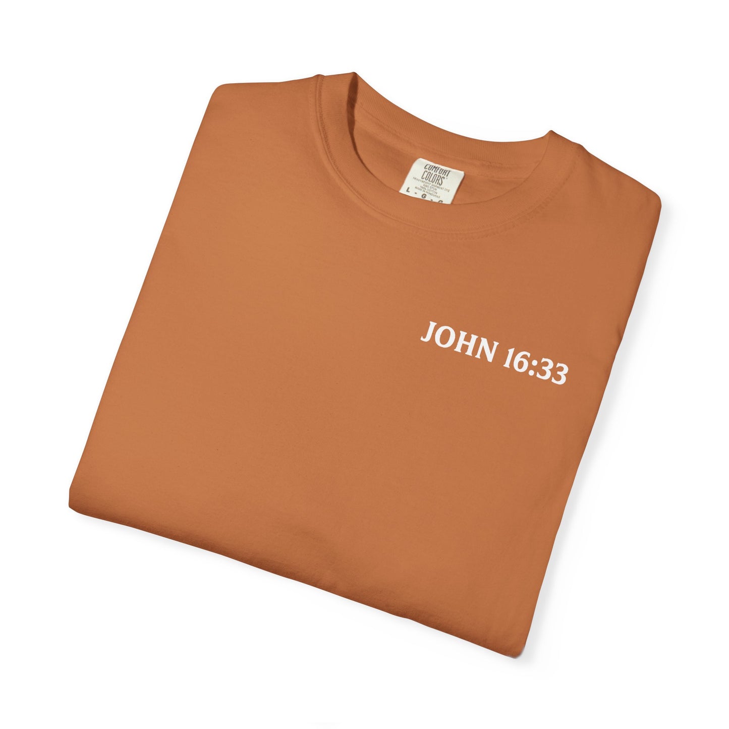 The Battle is Already Won (John 16:33) | Unisex Tee