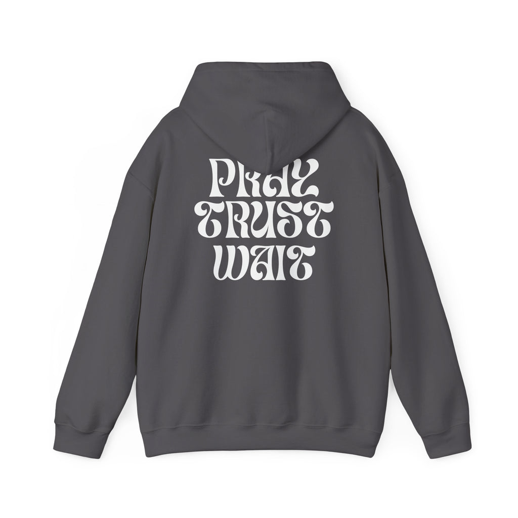 Unisex "PRAY TRUST WAIT" Hoodie