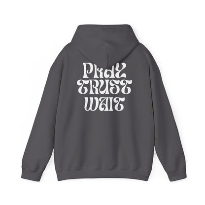 Unisex "PRAY TRUST WAIT" Hoodie
