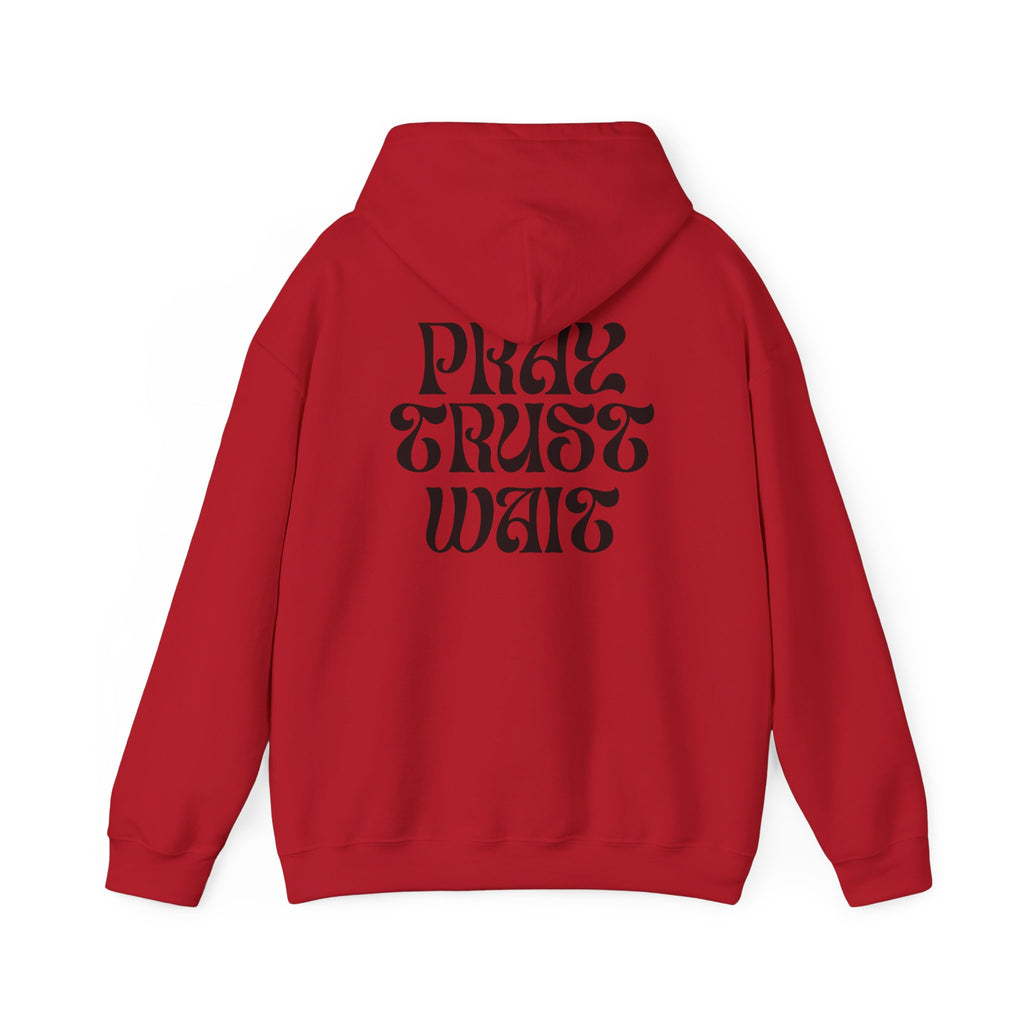 Unisex "PRAY TRUST WAIT" Hoodie