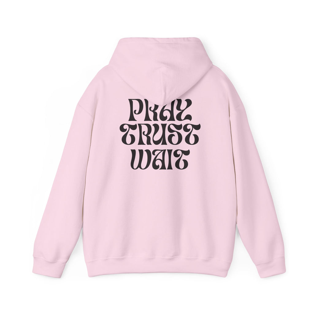 Unisex "PRAY TRUST WAIT" Hoodie