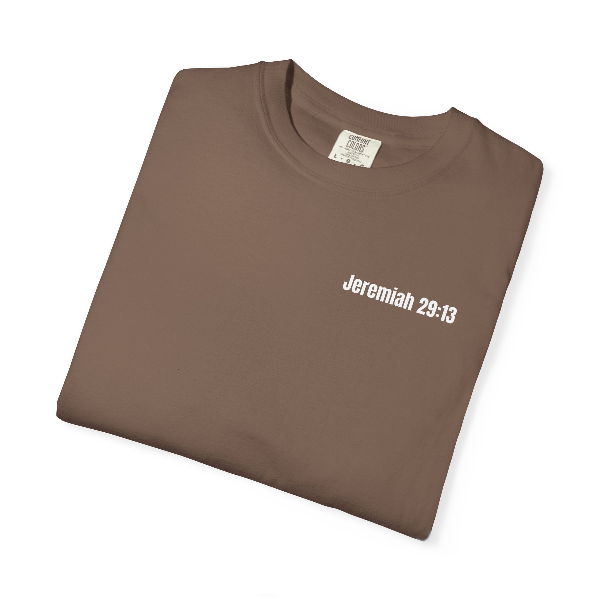 Find Joy in Jesus Tee