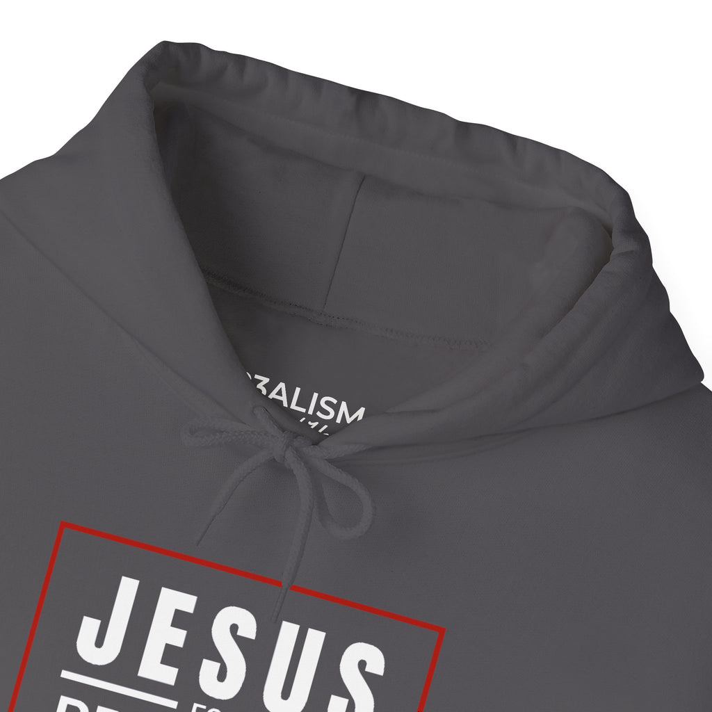 Jesus For President Unisex Hoodie