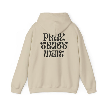 Unisex "PRAY TRUST WAIT" Hoodie