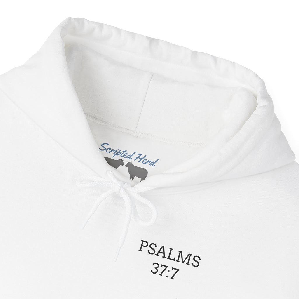 Unisex "PRAY TRUST WAIT" Hoodie