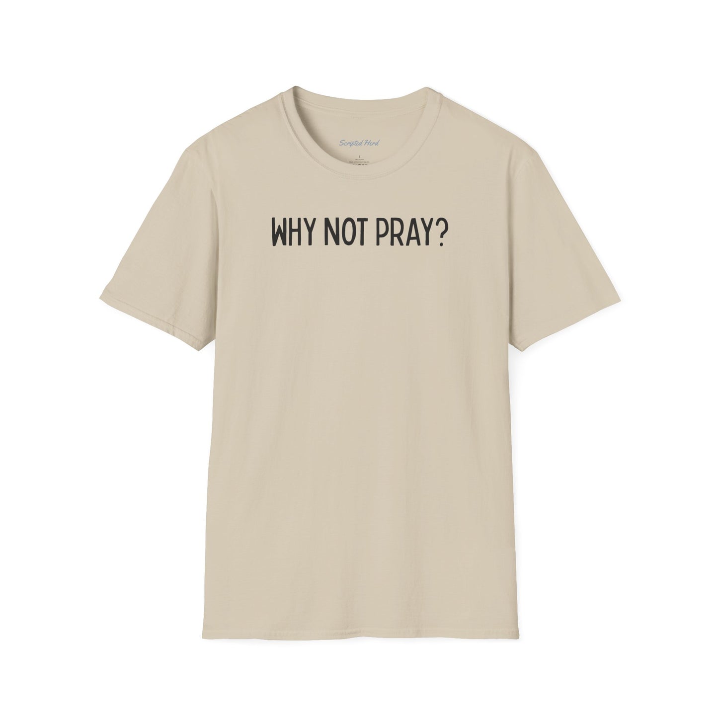 "Why Not Pray" Unisex Tee