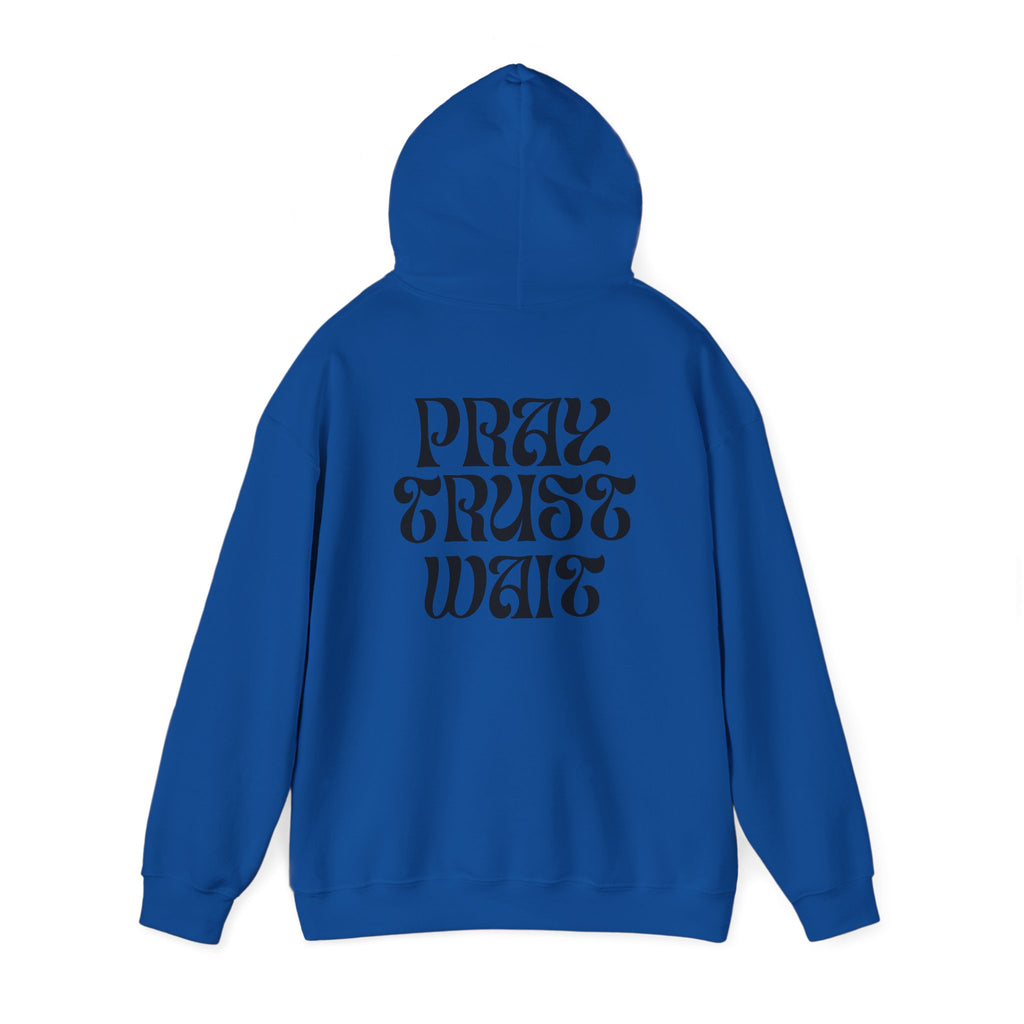 Unisex "PRAY TRUST WAIT" Hoodie