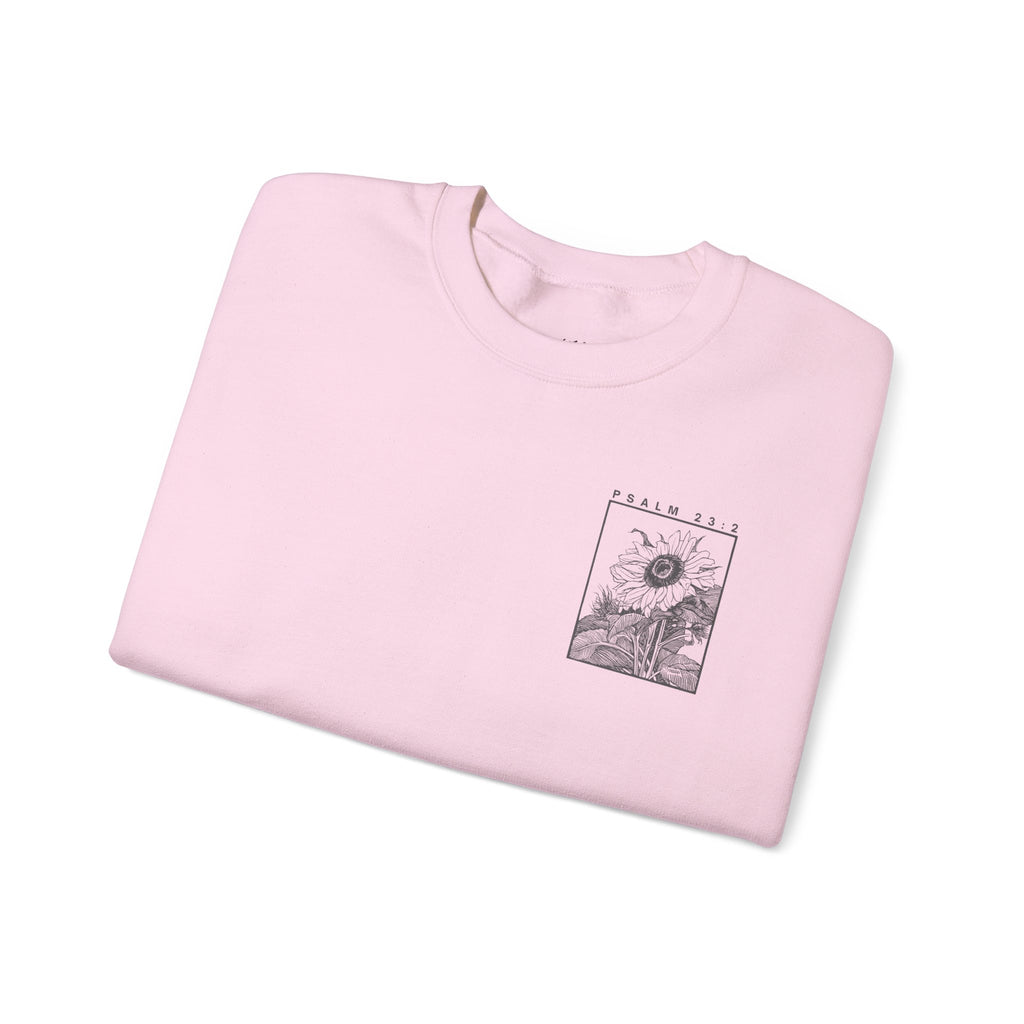 Psalm 23:2 Women's Crewneck